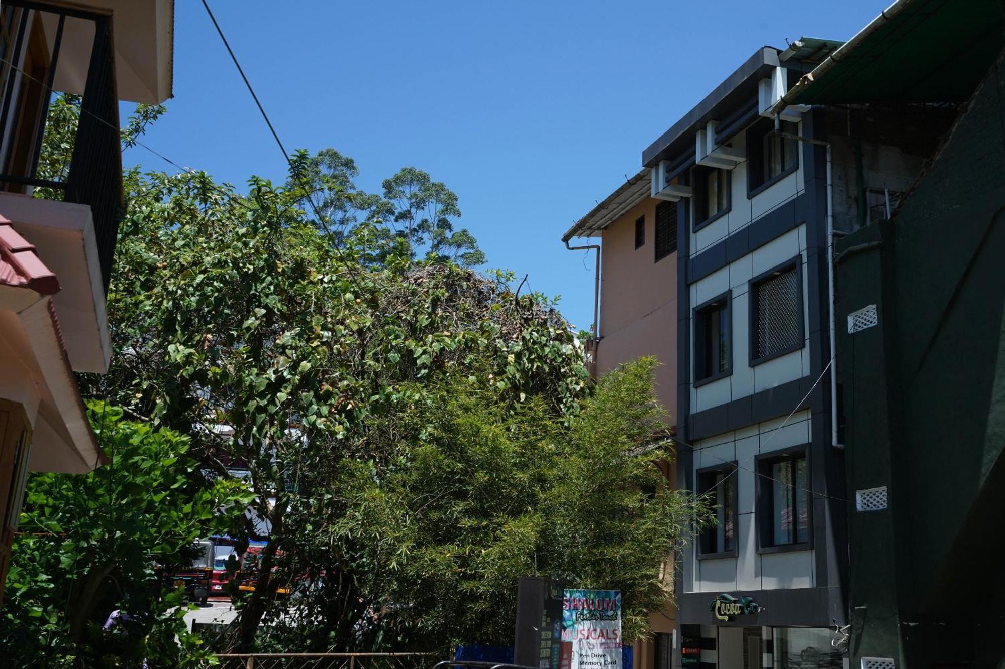 Oyo Hotel Cocoa Tree مونار المظهر الخارجي الصورة